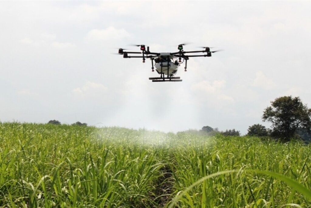 Qué es el RIMI: el nuevo régimen que reduce impuestos y busca impulsar inversiones de empresas medianas